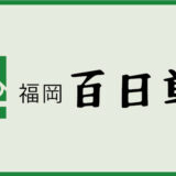 福岡百日草について