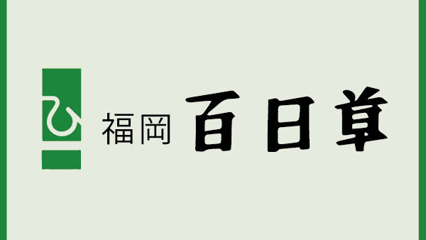 美容ディーラー百日草