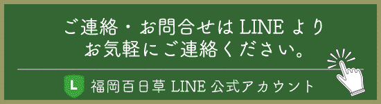 LINE友だち追加